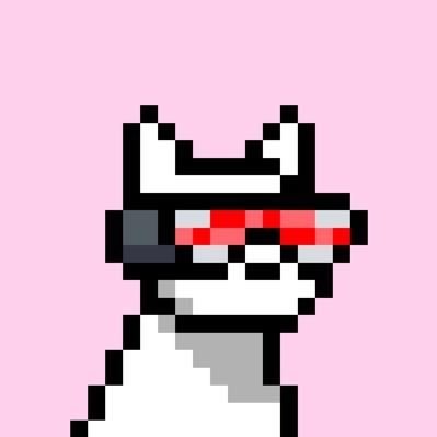 Order — Doginal Dogs community member