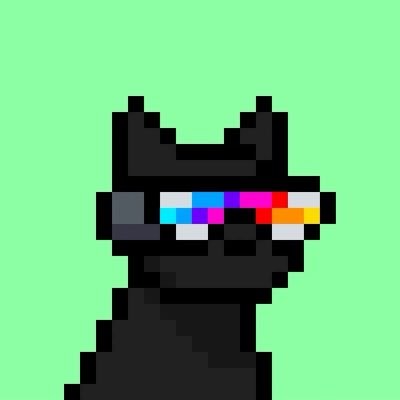 Shield — Doginal Dogs community member