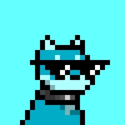 Crash — Doginal Dogs community member
