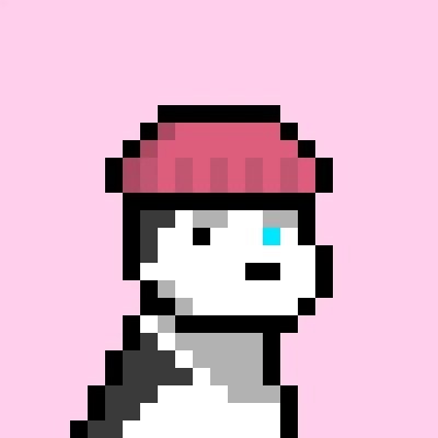 Koa — Doginal Dogs community member