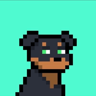 Reef — Doginal Dogs community member