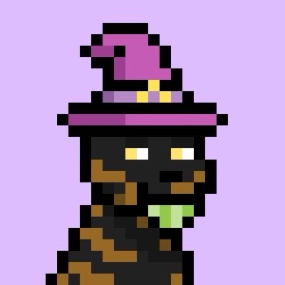 Switch — Doginal Dogs community member
