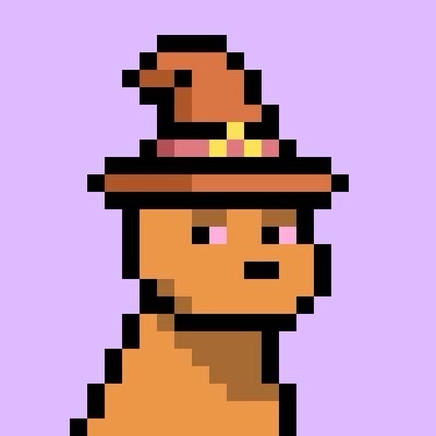 Box — Doginal Dogs community member