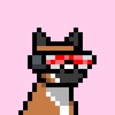 Brew — Doginal Dogs community member