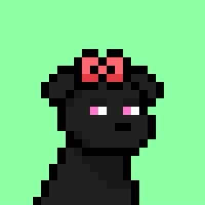 Bow — Doginal Dogs community member