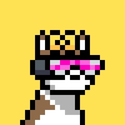 Nice — Doginal Dogs community member