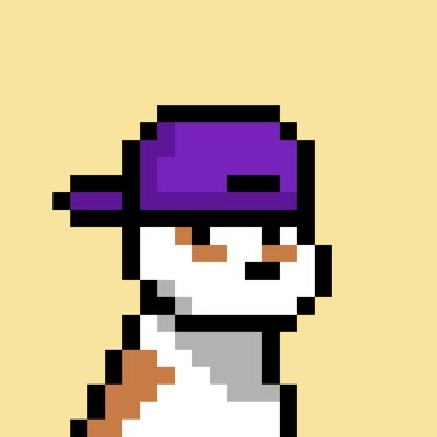 Mac — Doginal Dogs community member