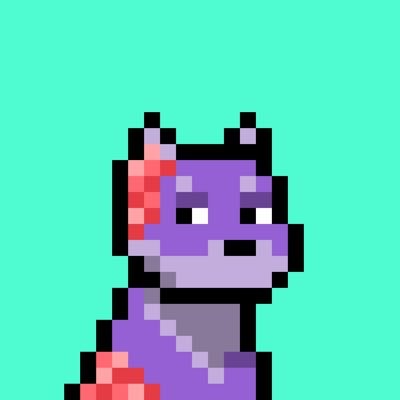 JC — Doginal Dogs community member